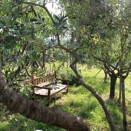 Agriturismo Angiò nel Cerè-3